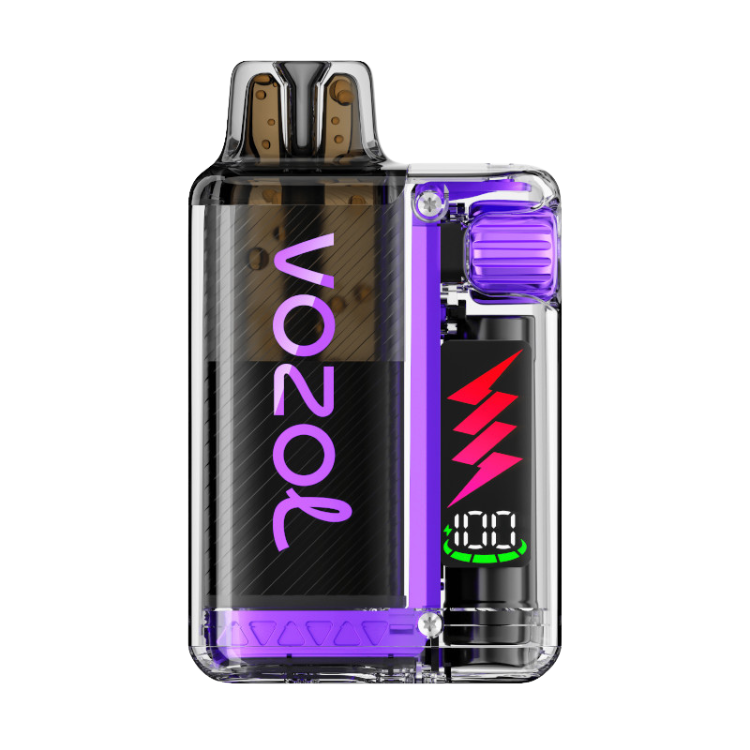 VOZOL – Vista Plug 10000 – Blueberry Raspberry Lemon