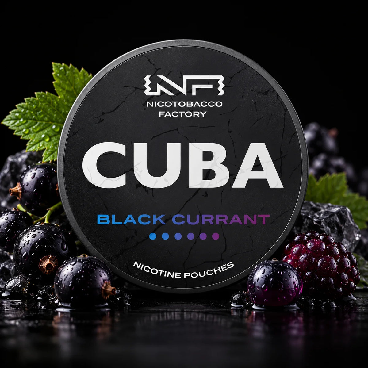 CUBA Black - Black Currant