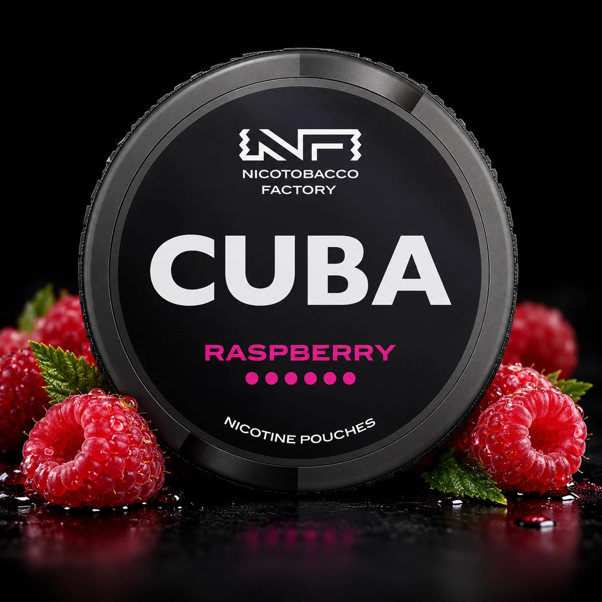 CUBA Black - Raspberry