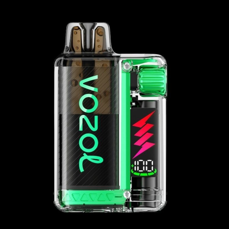 VOZOL - Vista Plug 10000 - Kiwi Passion Fruit Guava