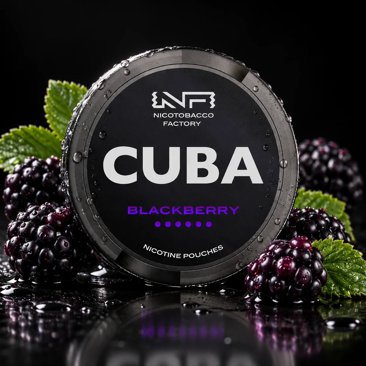 CUBA Black - Blackberry